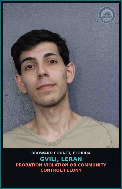 CCW arrest card for GVILI, LERAN in Broward County: PETIT THEFT-2ND DEGREE - 1ST OFFENSE