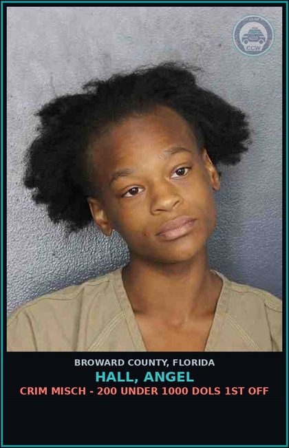 CCW arrest card for HALL, ANGEL in Broward County: CRIM MISCH - 200 UNDER 1000 DOLS 1ST OFF
