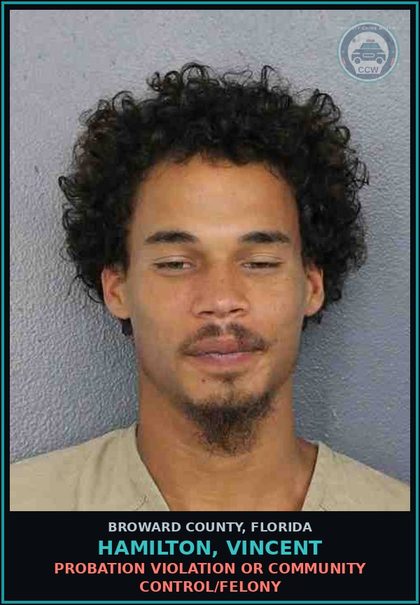 CCW arrest card for HAMILTON, VINCENT in Broward County: VERIF OWNERSHIP SECONDHAND DEALER UND 300 DOLS
