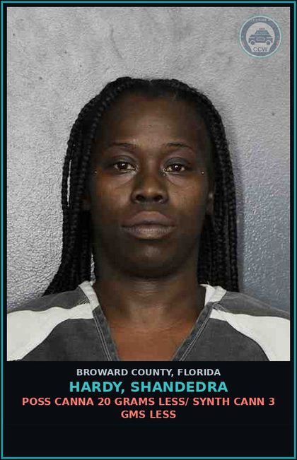 CCW arrest card for HARDY, SHANDEDRA in Broward County: TRESPASS/PROPERTY ARMED