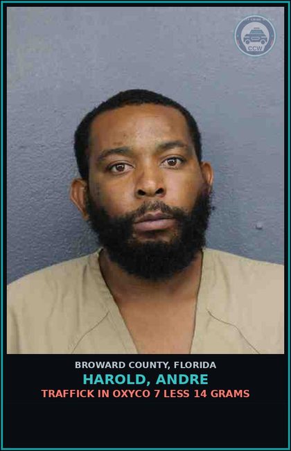 CCW arrest card for HAROLD, ANDRE in Broward County: PROBATION VIOLATION OR COMMUNITY CONTROL/FELONY