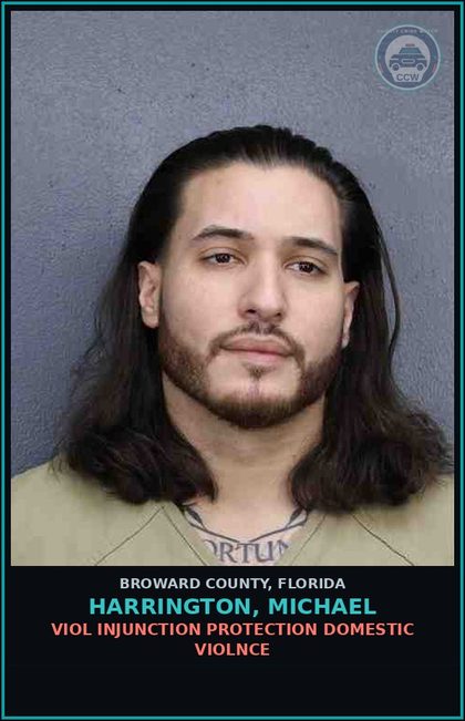 CCW arrest card for HARRINGTON, MICHAEL in Broward County: VIOL INJUNCTION PROTECTION DOMESTIC VIOLNCE