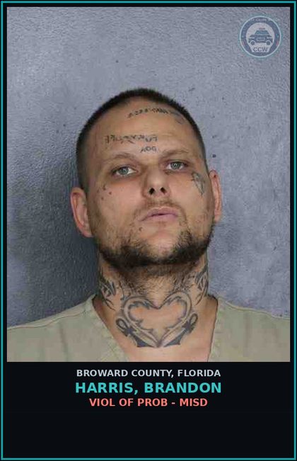 CCW arrest card for HARRIS, BRANDON in Broward County: VIOL OF PROB - MISD