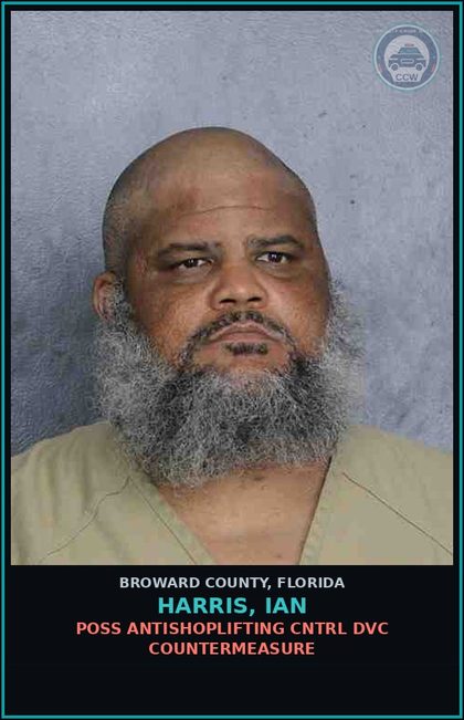 CCW arrest card for HARRIS, IAN in Broward County: PETIT THEFT-2ND DEGREE - 3RD SUBSQ OFFENSE