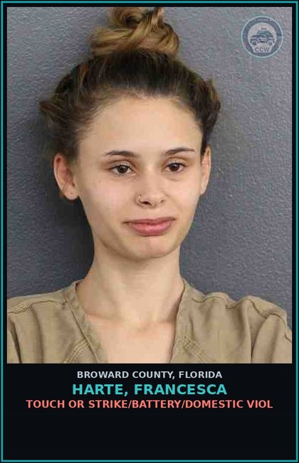 CCW arrest card for HARTE, FRANCESCA in Broward County: TOUCH OR STRIKE/BATTERY/DOMESTIC VIOL
