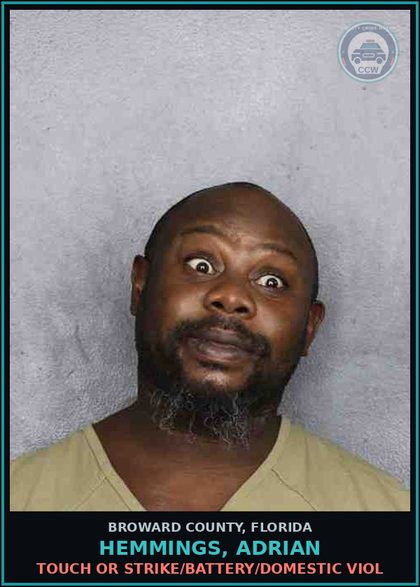 CCW arrest card for HEMMINGS, ADRIAN in Broward County: TOUCH OR STRIKE/BATTERY/DOMESTIC VIOL