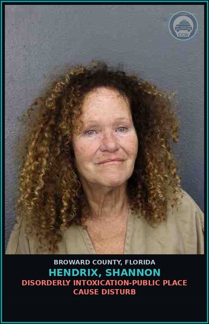 CCW arrest card for HENDRIX, SHANNON in Broward County: CRIM MISCH - 200 UNDER 1000 DOLS 1ST OFF