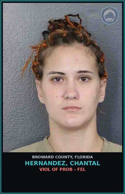 CCW arrest card for HERNANDEZ, CHANTAL in Broward County: VIOL OF PROB - FEL