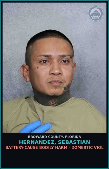 CCW arrest card for HERNANDEZ, SEBASTIAN in Broward County: BATTERY-CAUSE BODILY HARM - DOMESTIC VIOL