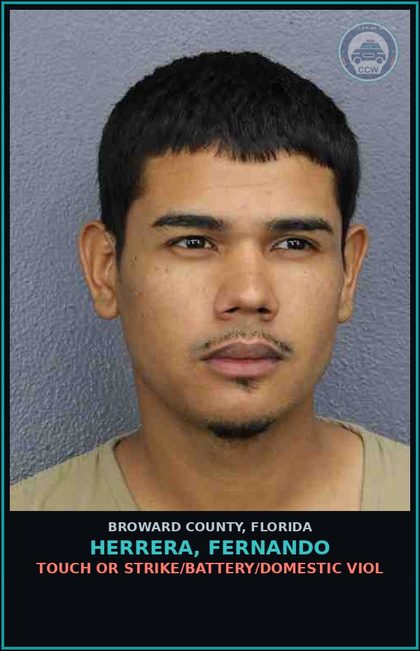 CCW arrest card for HERRERA, FERNANDO in Broward County: TOUCH OR STRIKE/BATTERY/DOMESTIC VIOL