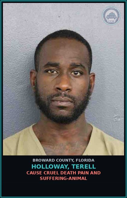 CCW arrest card for HOLLOWAY, TERELL in Broward County: CAUSE CRUEL DEATH PAIN AND SUFFERING-ANIMAL