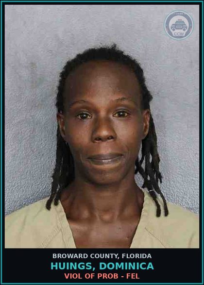CCW arrest card for HUINGS, DOMINICA in Broward County: VIOL OF PROB - FEL