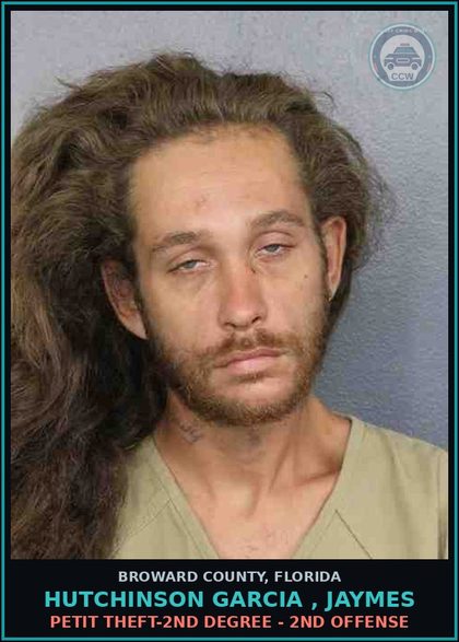 CCW arrest card for HUTCHINSON GARCIA , JAYMES in Broward County: PETIT THEFT-2ND DEGREE - 2ND OFFENSE
