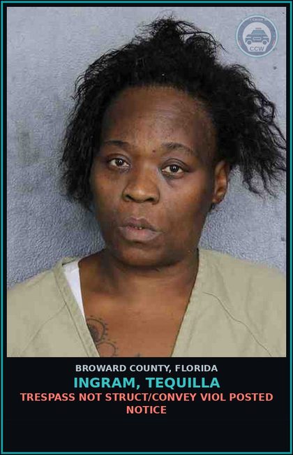 CCW arrest card for INGRAM, TEQUILLA in Broward County: TRESPASS NOT STRUCT/CONVEY VIOL POSTED NOTICE
