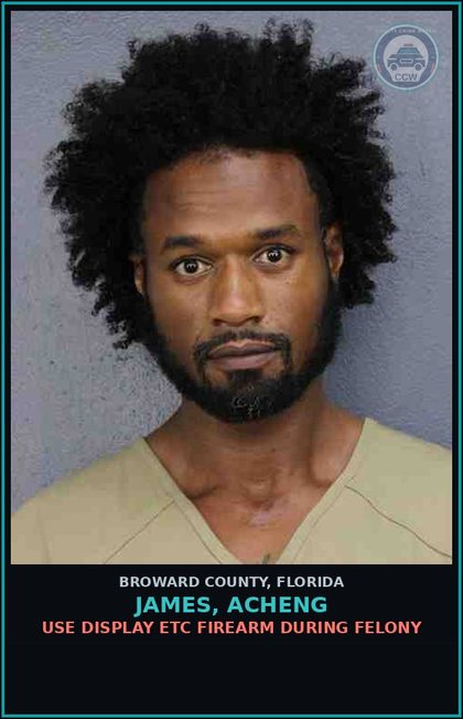 CCW arrest card for JAMES, ACHENG in Broward County: POSSESS Canna OVR 20 GRMS/SYNTH CANN OVR 3 GRMS
