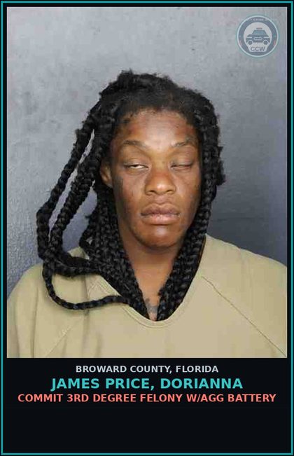 CCW arrest card for JAMES PRICE, DORIANNA in Broward County: RESIST OFFICER WITH VIOLENCE