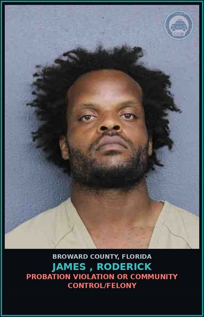 CCW arrest card for JAMES , RODERICK in Broward County: PETIT THEFT-2ND DEGREE - 3RD SUBSQ OFFENSE