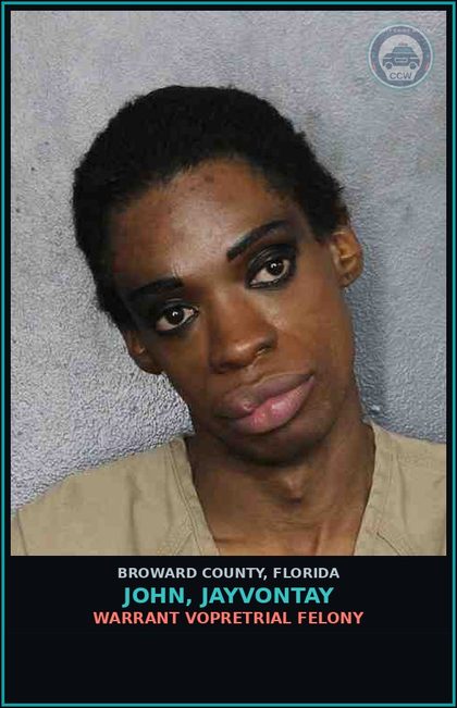 CCW arrest card for JOHN, JAYVONTAY in Broward County: PETIT THEFT-2ND DEGREE - 1ST OFFENSE