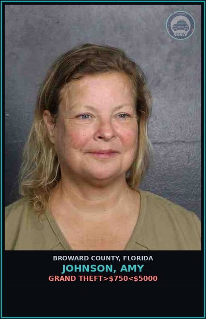 CCW arrest card for JOHNSON, AMY in Broward County: RESIST OFFICER-OBSTRUCT WITHOUT VIOLENCE