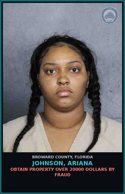 CCW arrest card for JOHNSON,  ARIANA in Broward County: LARC 10K LESS 50K FROM 65 YOA OLDER