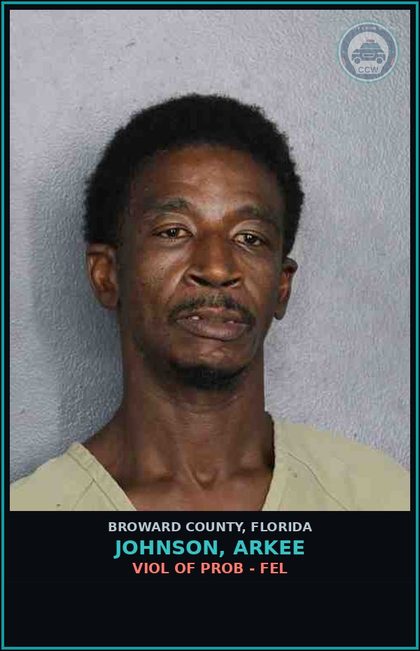 CCW arrest card for JOHNSON, ARKEE in Broward County: VIOL OF PROB - FEL
