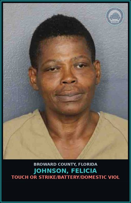 CCW arrest card for JOHNSON, FELICIA in Broward County: TOUCH OR STRIKE/BATTERY/DOMESTIC VIOL