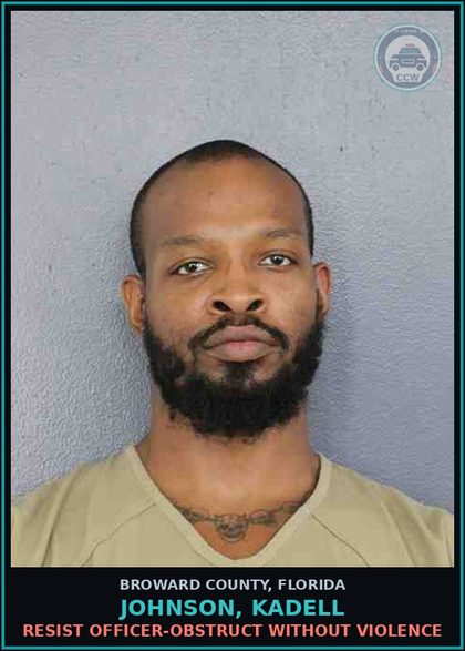 CCW arrest card for JOHNSON, KADELL in Broward County: DISORD CONDUCT-BRWL FIGHT CRPT PUBLIC MORAL DECNCY