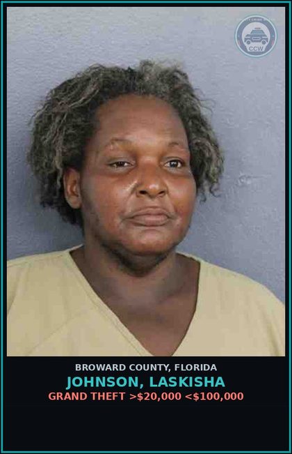 CCW arrest card for JOHNSON, LASKISHA in Broward County: NO SAFETY BELTS/PASSG UNDER 18