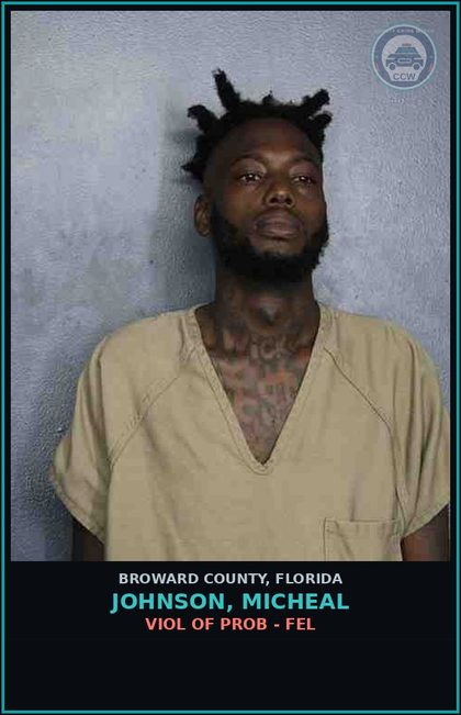 CCW arrest card for JOHNSON, MICHEAL in Broward County: VIOL OF PROB - FEL