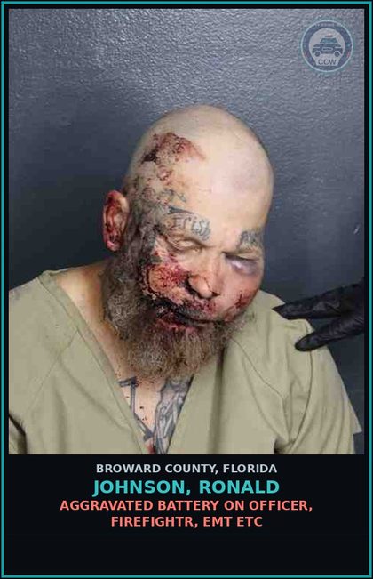 CCW arrest card for JOHNSON, RONALD in Broward County: AGGRAVATED BATTERY ON OFFICER, FIREFIGHTR, EMT ETC