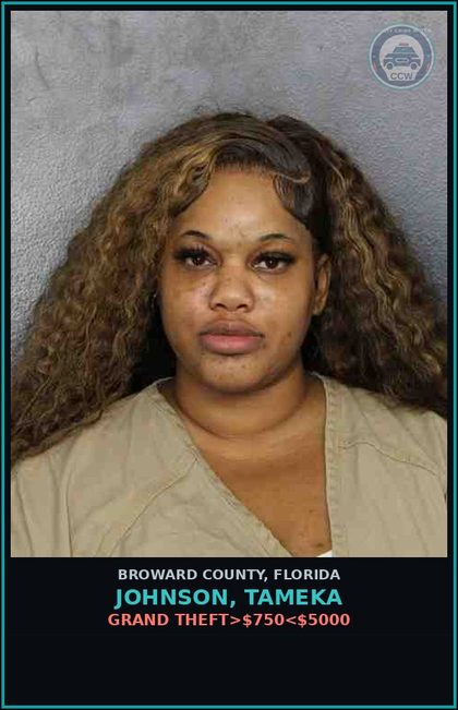 CCW arrest card for JOHNSON, TAMEKA in Broward County: PROBATION VIOLATION OR COMMUNITY CONTROL/FELONY