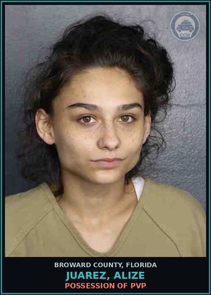 CCW arrest card for JUAREZ, ALIZE in Broward County: CAPIAS - TRAFFIC