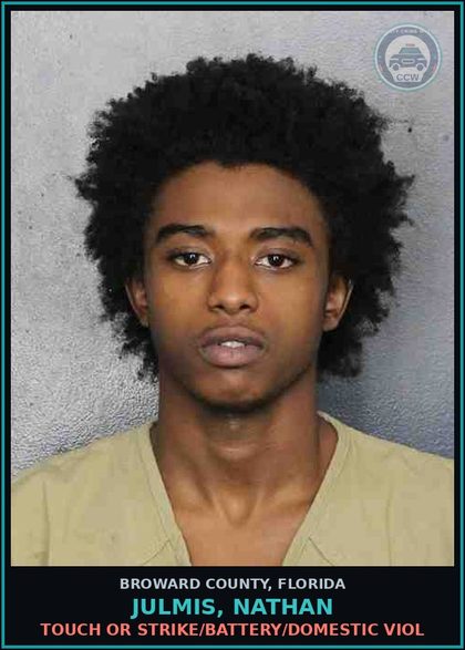 CCW arrest card for JULMIS, NATHAN in Broward County: TOUCH OR STRIKE/BATTERY/DOMESTIC VIOL