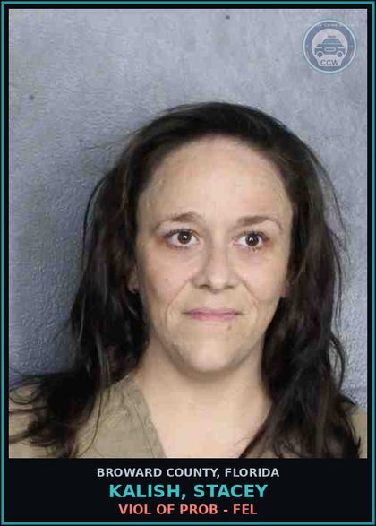 CCW arrest card for KALISH, STACEY in Broward County: VIOL OF PROB - FEL