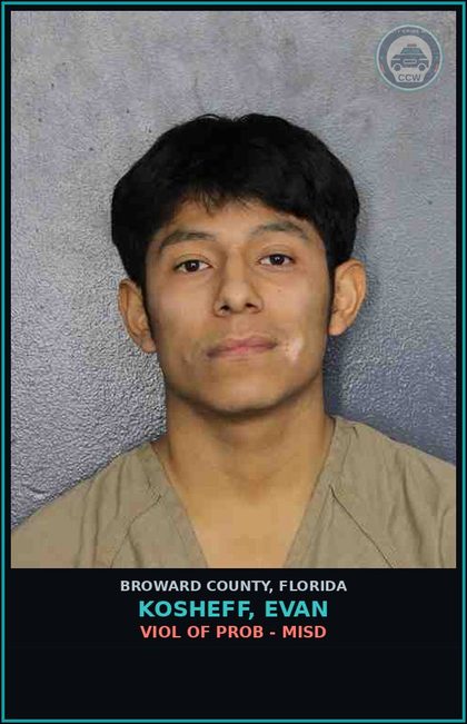 CCW arrest card for KOSHEFF, EVAN in Broward County: VIOL OF PROB - MISD