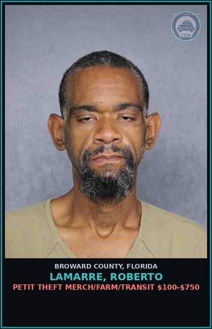 CCW arrest card for LAMARRE, ROBERTO in Broward County: PETIT THEFT MERCH/FARM/TRANSIT $100-$750