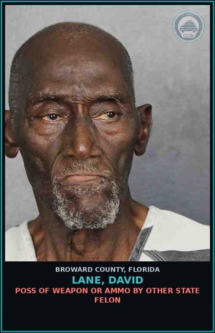 CCW arrest card for LANE, DAVID in Broward County: POSS OF WEAPON OR AMMO BY OTHER STATE FELON
