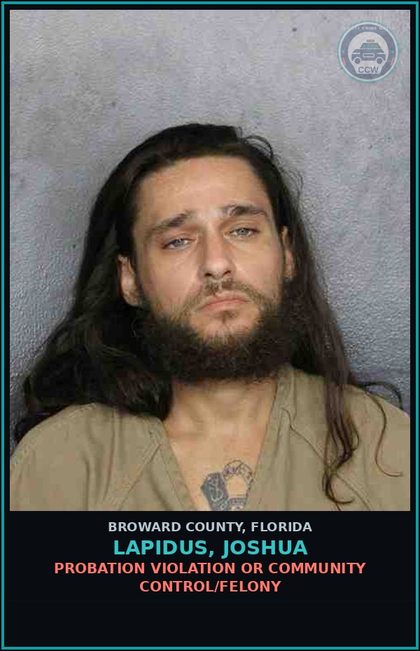 CCW arrest card for LAPIDUS, JOSHUA in Broward County: DRIVE WHILE LIC SUSP THIRD OR SUBSQ OFFENSE