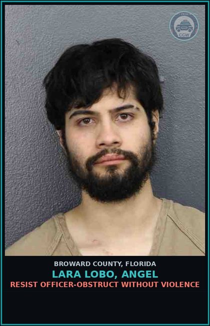 CCW arrest card for LARA LOBO, ANGEL in Broward County: IMM FED HLD