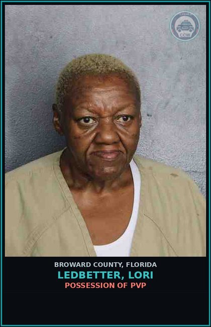 CCW arrest card for LEDBETTER, LORI in Broward County: POSSESSION OF PVP
