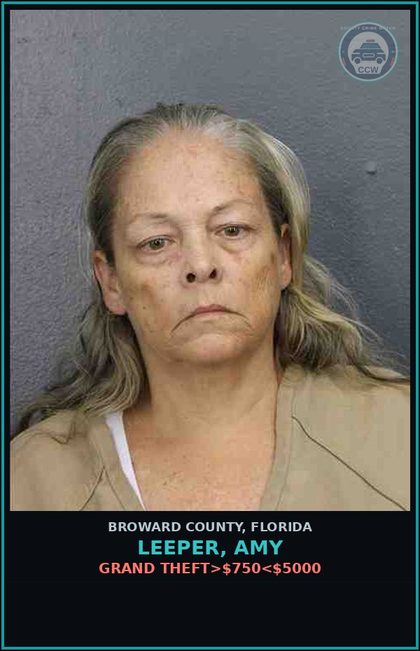 CCW arrest card for LEEPER, AMY in Broward County: GRAND THEFT>$750<$5000