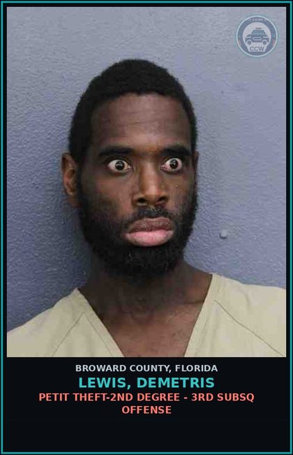CCW arrest card for LEWIS, DEMETRIS in Broward County: PETIT THEFT-2ND DEGREE - 3RD SUBSQ OFFENSE