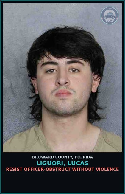 CCW arrest card for LIGUORI, LUCAS in Broward County: FLEE  ELUDE LEO/LIGHTS/SIREN ACTIVE