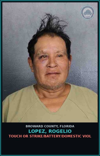 CCW arrest card for LOPEZ, ROGELIO in Broward County: TOUCH OR STRIKE/BATTERY/DOMESTIC VIOL