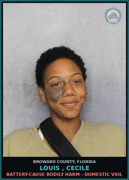 CCW arrest card for LOUIS , CECILE in Broward County: BATTERY-CAUSE BODILY HARM - DOMESTIC VIOL