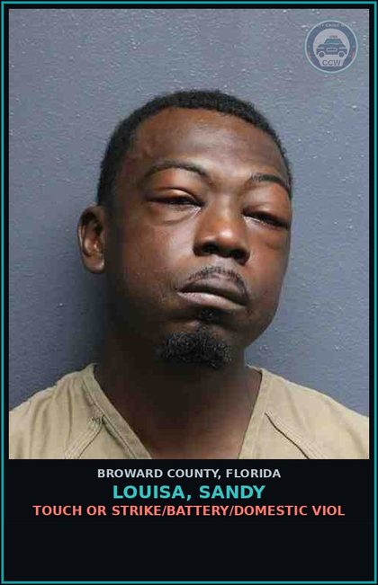CCW arrest card for LOUISA, SANDY in Broward County: TOUCH OR STRIKE/BATTERY/DOMESTIC VIOL