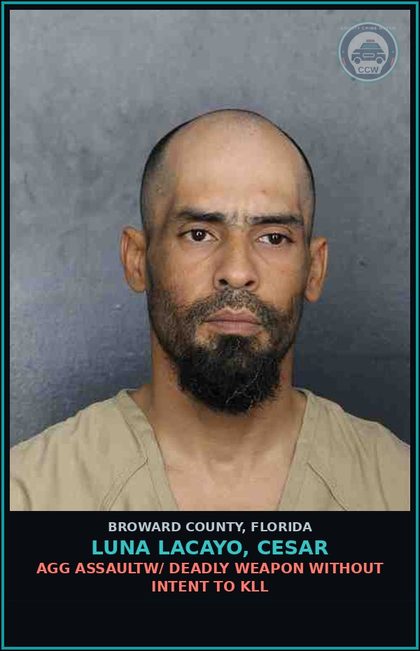CCW arrest card for LUNA LACAYO, CESAR in Broward County: AGG ASSAULTW/ DEADLY WEAPON WITHOUT INTENT TO KILL