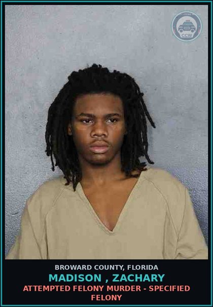 CCW arrest card for MADISON , ZACHARY in Broward County: POSS OF WEAP OR AMMO BY OTH STATE DELQ ADLT FELON