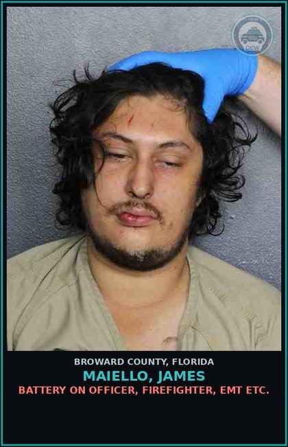 CCW arrest card for MAIELLO, JAMES in Broward County: PROBATION VIOLATION OR COMMUNITY CONTROL/FELONY