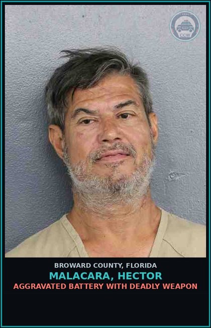 CCW arrest card for MALACARA, HECTOR in Broward County: TOUCH OR STRIKE/BATTERY